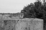 waste deposit_032